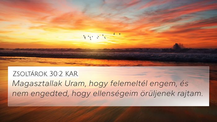Zsoltárok 30:2 KAR Bible Verse Image