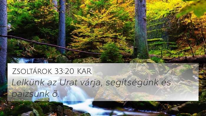Zsoltárok 33:20 KAR Bible Verse Image