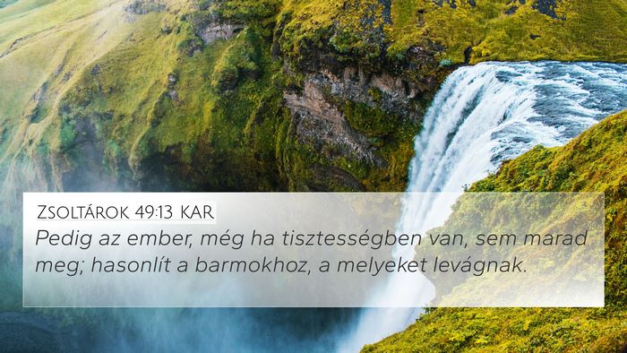 Zsoltárok 49:13 KAR 4K Wallpaper - Pedig az ember, még ha tisztességben van, sem - 4K Wallpaper Bible Verse