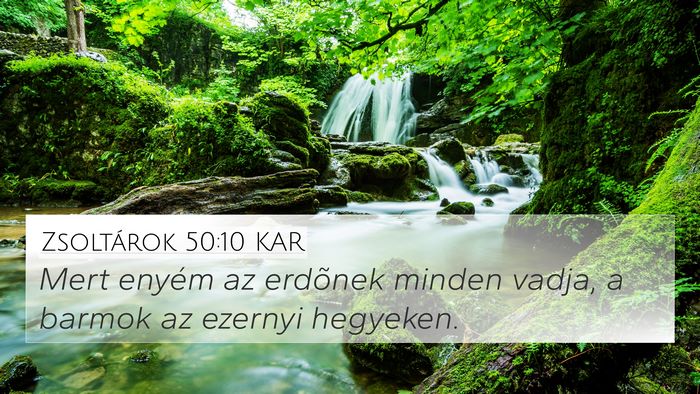 Zsoltárok 50:10 KAR Bible Verse Image