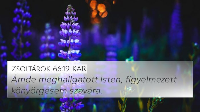 Zsoltárok 66:19 KAR Bible Verse Image
