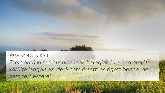 Ézsaiás 42:25 KAR Bible Verse Image