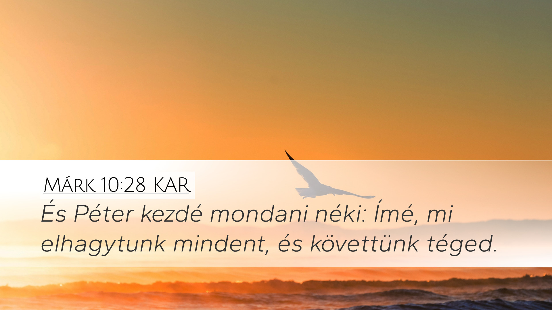 Márk 10:28 KAR Desktop Wallpaper - És Péter kezdé mondani néki: Ímé, mi