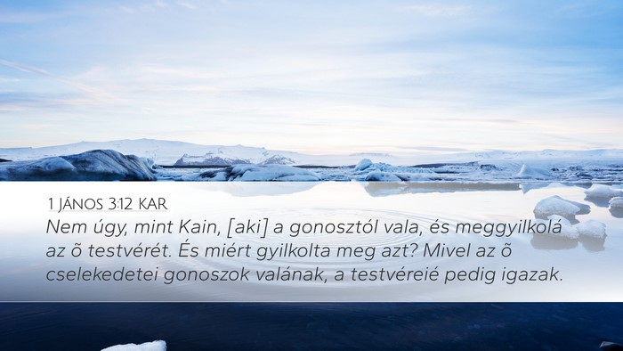 1 János 3:12 KAR Bible Verse Image