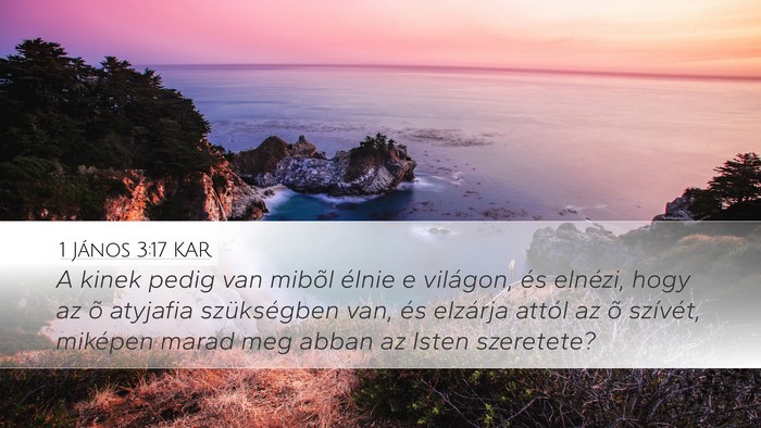 1 János 3:17 KAR Bible Verse Image