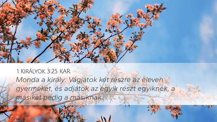 1 Királyok 3:25 KAR Desktop Wallpaper - Monda a király: Vágjátok két részre az - Desktop Bible Verse Wallpaper