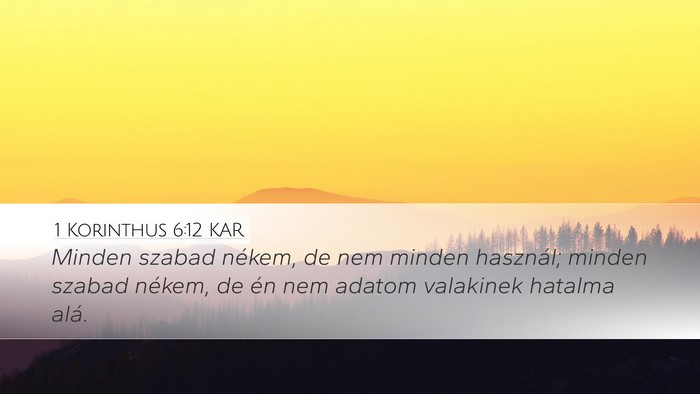 1 Korinthus 6:12 KAR Bible Verse Image