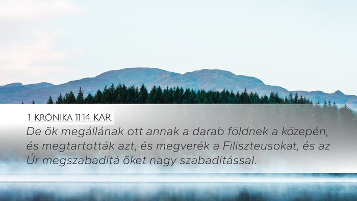 1 Krónika 11:14 KAR Bible Verse Image