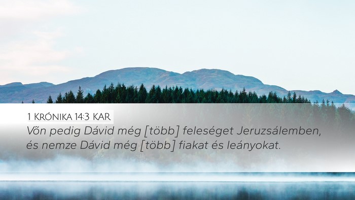 1 Krónika 14:3 KAR Bible Verse Image