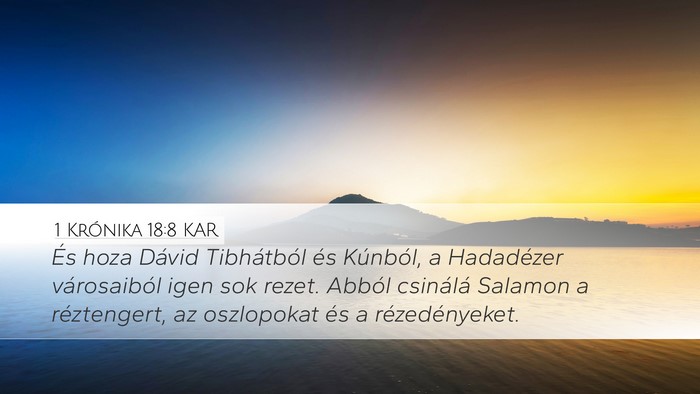 1 Krónika 18:8 KAR Bible Verse Image