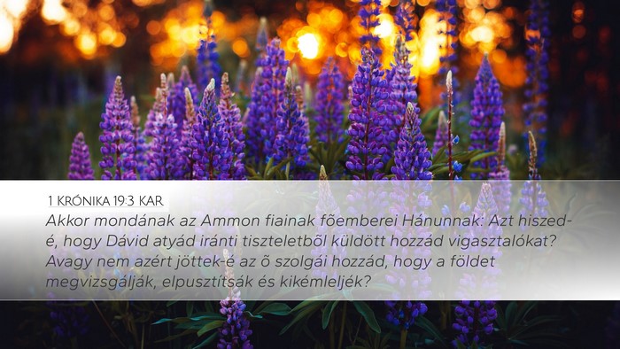 1 Krónika 19:3 KAR Bible Verse Image