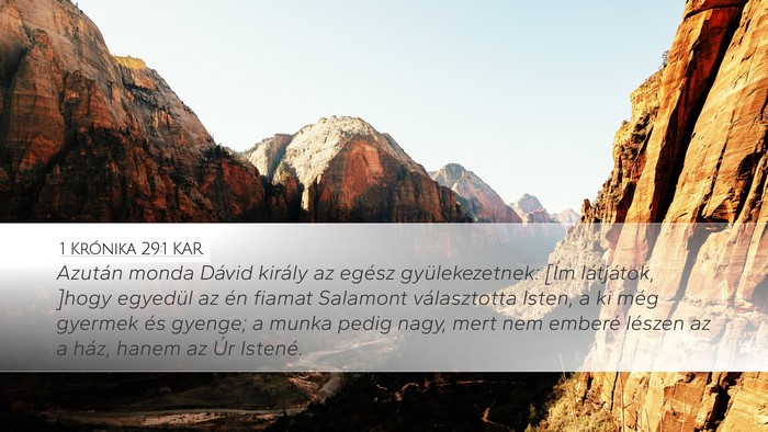 1 Krónika 29:1 KAR Bible Verse Image