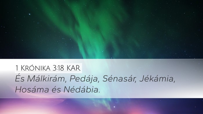 1 Krónika 3:18 KAR Desktop Wallpaper - És Málkirám, Pedája, Sénasár, Jékámia, - Desktop Bible Verse Wallpaper