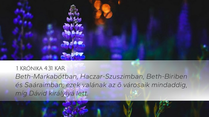 1 Krónika 4:31 KAR Bible Verse Image