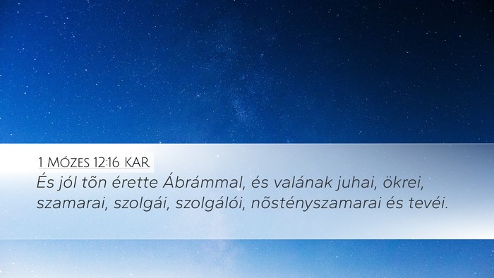 1 Mózes 12:16 KAR Bible Verse Image