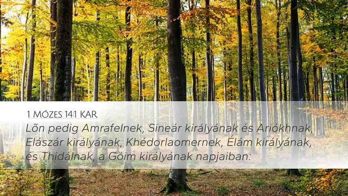 1 Mózes 14:1 KAR Bible Verse Image