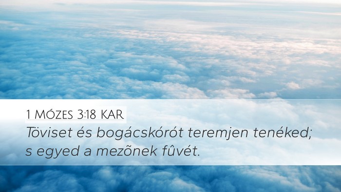 1 Mózes 3:18 KAR Bible Verse Image