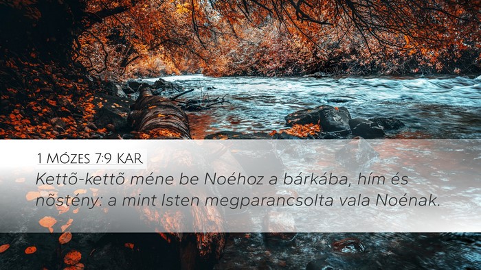 1 Mózes 7:9 KAR Desktop Wallpaper - Kettõ-kettõ méne be Noéhoz a bárkába, hím - Desktop Bible Verse Wallpaper