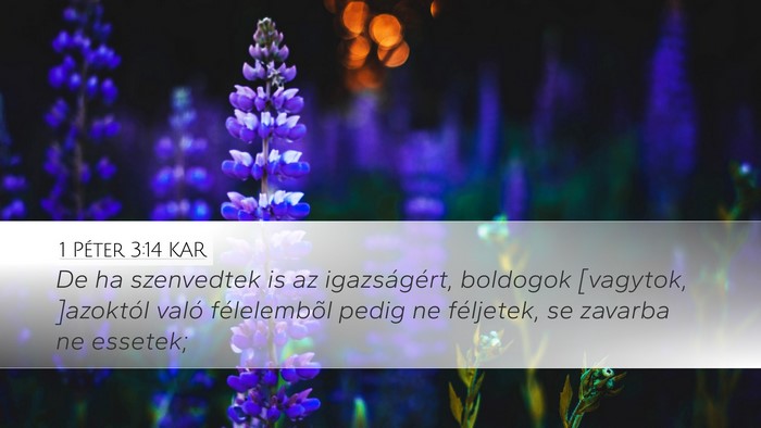 1 Péter 3:14 KAR Bible Verse Image