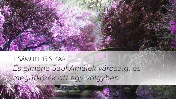 1 Sámuel 15:5 KAR Desktop Wallpaper - És elméne Saul Amálek városáig, és - Desktop Bible Verse Wallpaper