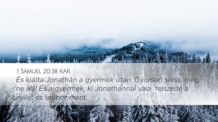 1 Sámuel 20:38 KAR Bible Verse Image