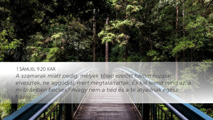 1 Sámuel 9:20 KAR Desktop Wallpaper - A szamarak miatt pedig, melyek tõled ezelõtt - Desktop Bible Verse Wallpaper