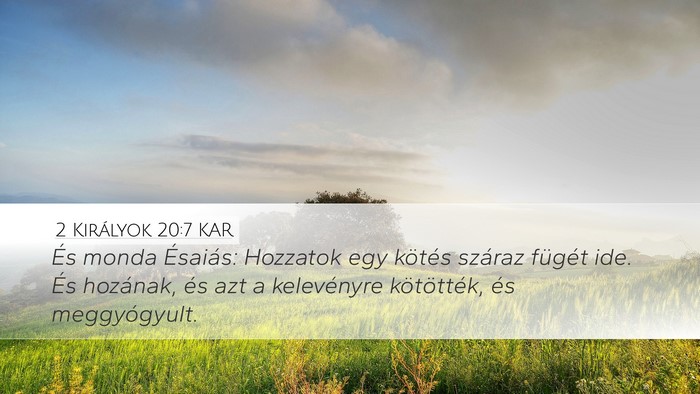 2 Királyok 20:7 KAR Desktop Wallpaper - És monda Ésaiás: Hozzatok egy kötés száraz - Desktop Bible Verse Wallpaper