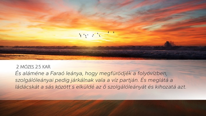 2 Mózes 2:5 KAR Bible Verse Image