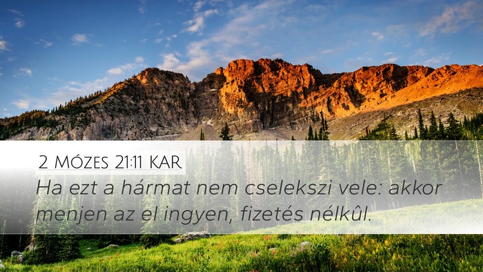 2 Mózes 21:11 KAR Desktop Wallpaper - Ha ezt a hármat nem cselekszi vele: akkor menjen - Desktop Bible Verse Wallpaper