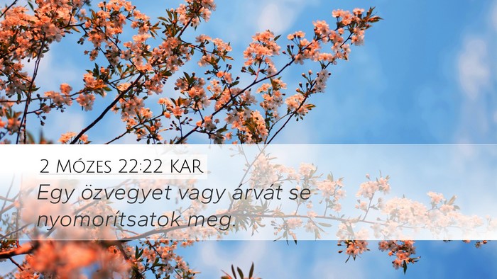 2 Mózes 22:22 KAR Bible Verse Image