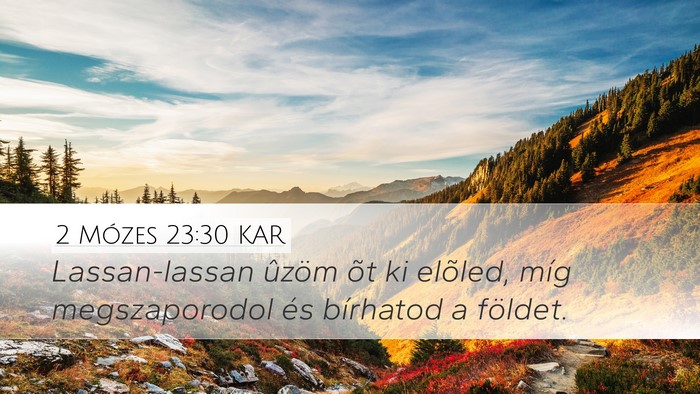 2 Mózes 23:30 KAR Bible Verse Image