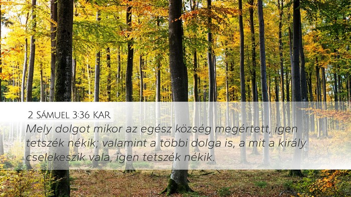 2 Sámuel 3:36 KAR Bible Verse Image