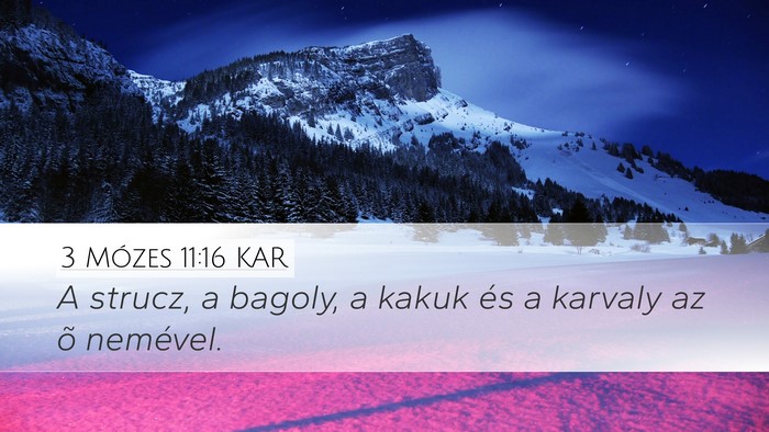 3 Mózes 11:16 KAR Desktop Wallpaper - A strucz, a bagoly, a kakuk és a karvaly az õ - Desktop Bible Verse Wallpaper