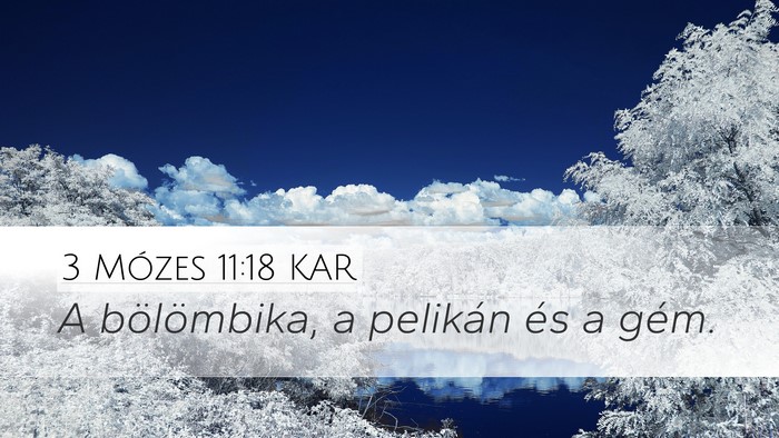 3 Mózes 11:18 KAR Desktop Wallpaper - A bölömbika, a pelikán és a - Desktop Bible Verse Wallpaper