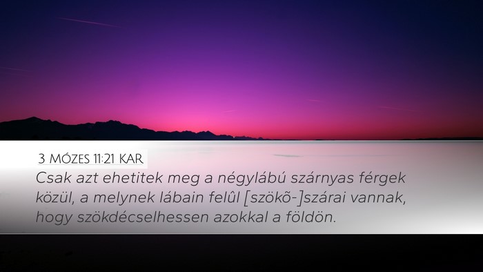 3 Mózes 11:21 KAR Desktop Wallpaper - Csak azt ehetitek meg a négylábú szárnyas - Desktop Bible Verse Wallpaper