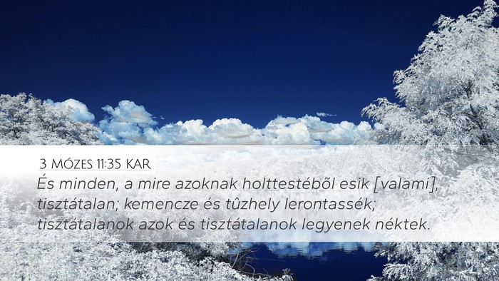 3 Mózes 11:35 KAR Bible Verse Image