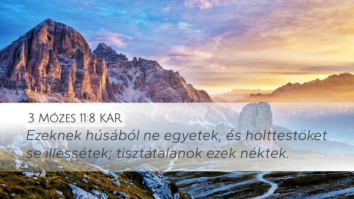 3 Mózes 11:8 KAR Desktop Wallpaper - Ezeknek húsából ne egyetek, és holttestöket - Desktop Bible Verse Wallpaper