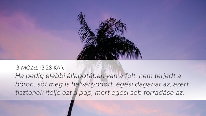 3 Mózes 13:28 KAR Desktop Wallpaper - Ha pedig elébbi állapotában van a folt, nem - Desktop Bible Verse Wallpaper