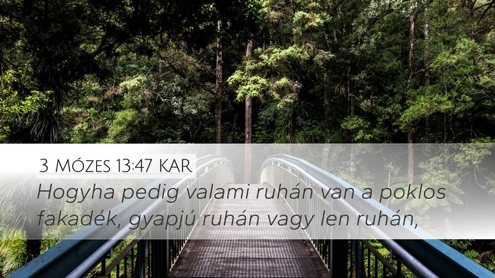 3 Mózes 13:47 KAR Desktop Wallpaper - Hogyha pedig valami ruhán van a poklos fakadék, - Desktop Bible Verse Wallpaper