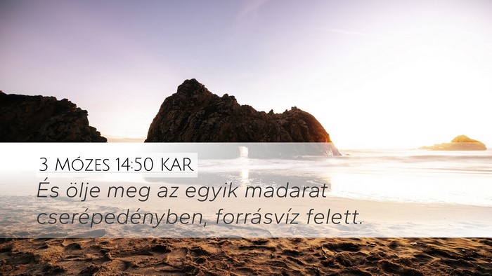 3 Mózes 14:50 KAR Desktop Wallpaper - És ölje meg az egyik madarat cserépedényben, - Desktop Bible Verse Wallpaper