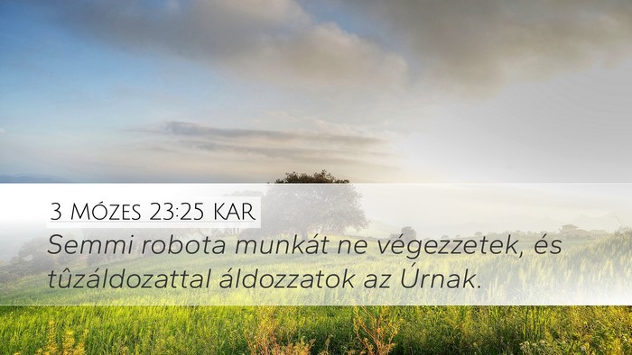 3 Mózes 23:25 KAR Bible Verse Image