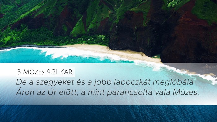 3 Mózes 9:21 KAR Bible Verse Image