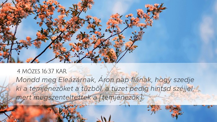 4 Mózes 16:37 KAR Desktop Wallpaper - Mondd meg Eleázárnak, Áron pap fiának, hogy - Desktop Bible Verse Wallpaper