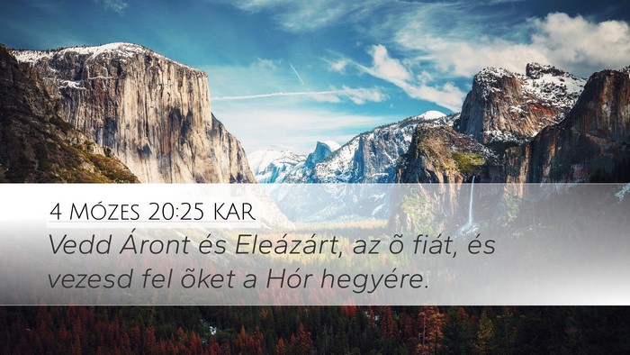 4 Mózes 20:25 KAR Desktop Wallpaper - Vedd Áront és Eleázárt, az õ fiát, és - Desktop Bible Verse Wallpaper