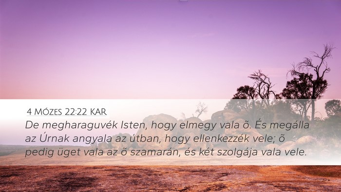 4 Mózes 22:22 KAR Bible Verse Image