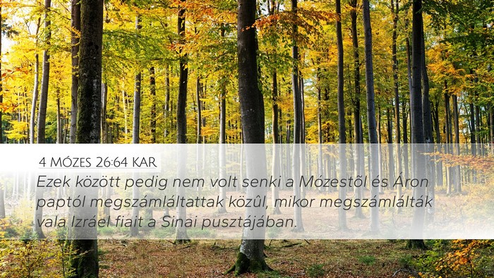 4 Mózes 26:64 KAR Bible Verse Image