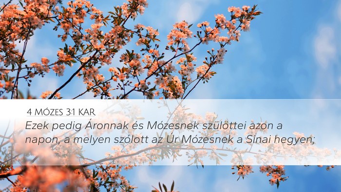 4 Mózes 3:1 KAR Bible Verse Image