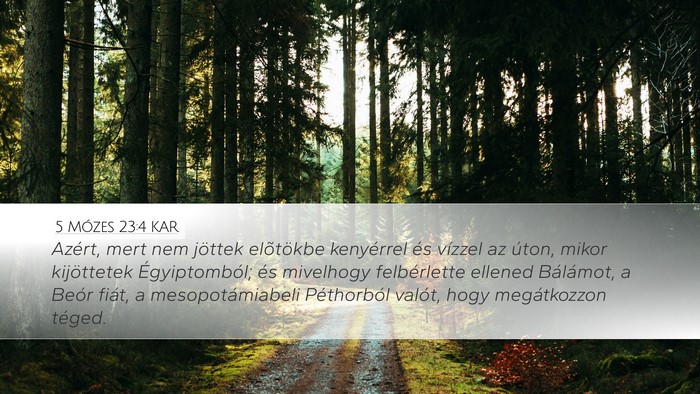 5 Mózes 23:4 KAR Bible Verse Image