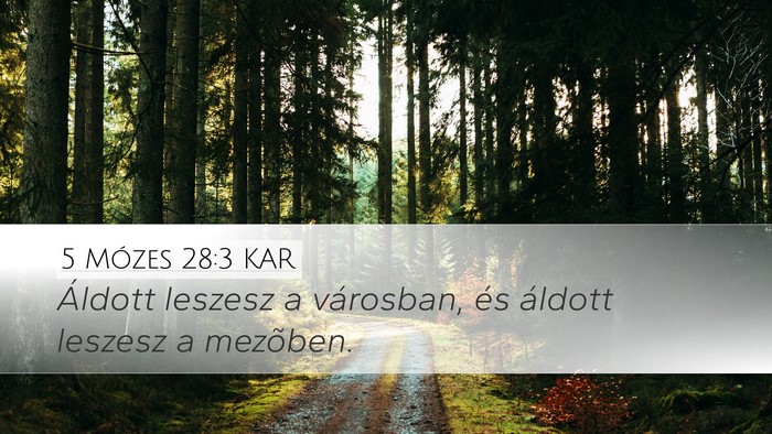 5 Mózes 28:3 KAR Bible Verse Image
