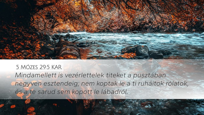 5 Mózes 29:5 KAR Bible Verse Image